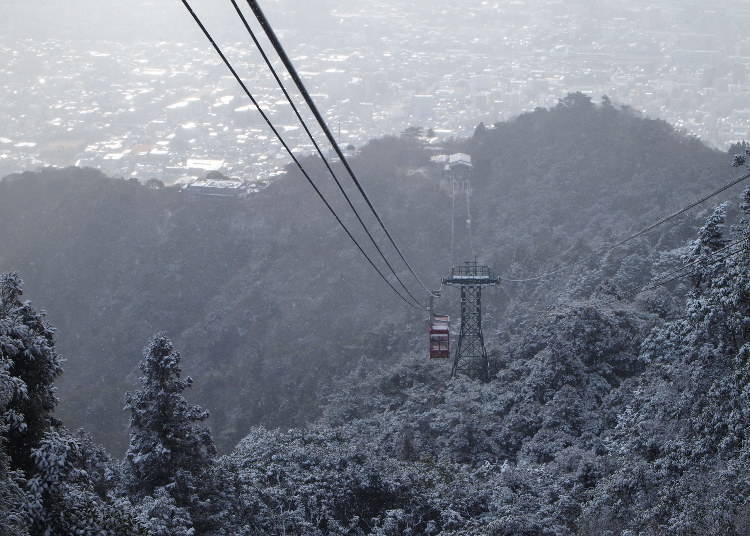 마야뷰라인 설경