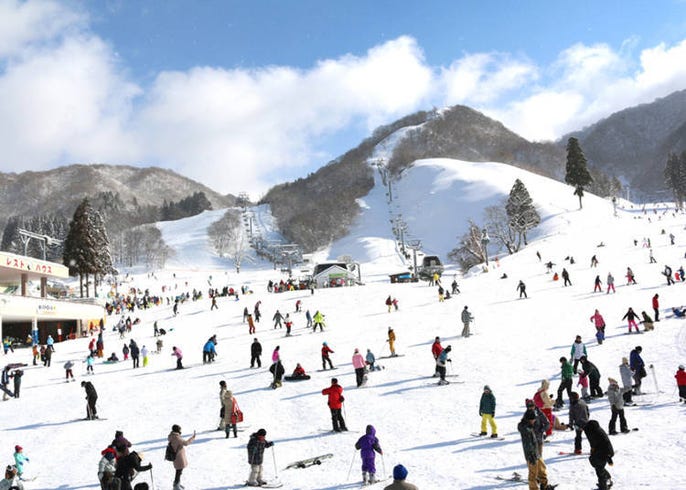 2021大阪可當天來回的滑雪場9選 不再只有北海道啦 live japan 日本旅遊 文化體驗導覽
