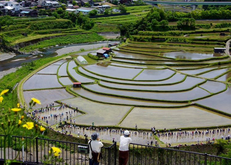 2. Aragi Island (Wakayama): Naturally-sculpted landscapes