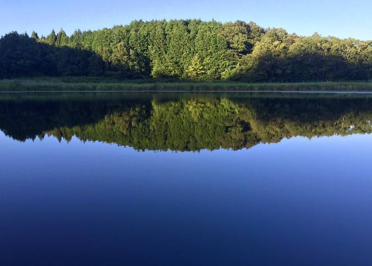 4. Ryūogabuchi (Nara): Hidden scenic pond that perfectly mirrors its surroundings