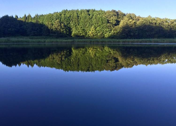 4. 숨겨진 비경, 반영이 아름다운 거울연못 ‘류오가부치’ [나라현]