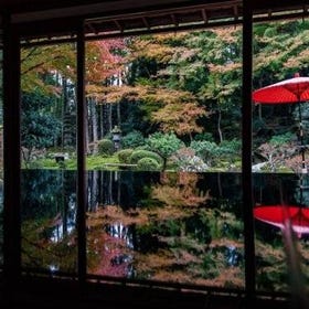 [滋賀] 滋賀 琵琶湖一日遊｜MIHO美秀美術館、舊竹林院or比叡山日吉大社、琵琶湖白須神社（大阪京都出發）