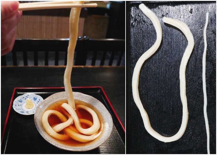 Japan’s Crazy Long and Thick Ippon Udon: A Kyoto Specialty That’s Full of Surprises!