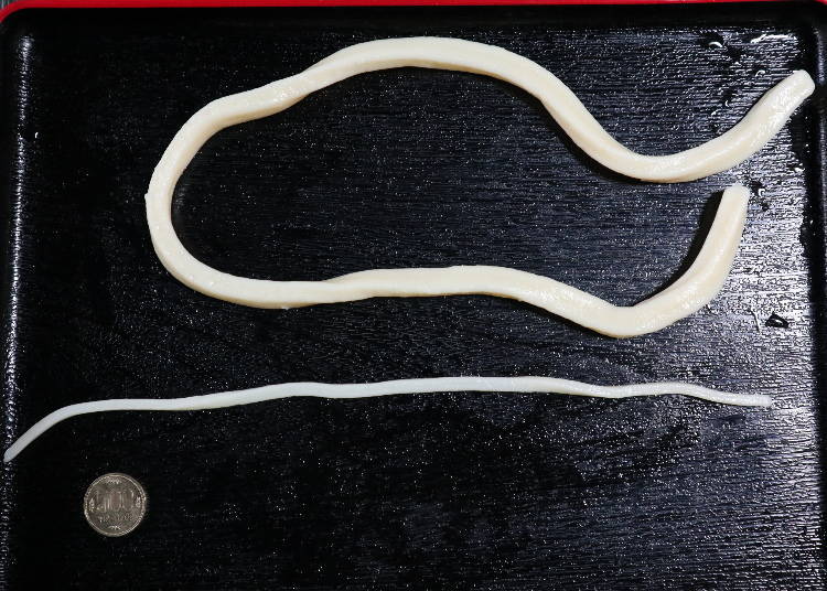 Comparing the Ippon Udon with regular udon