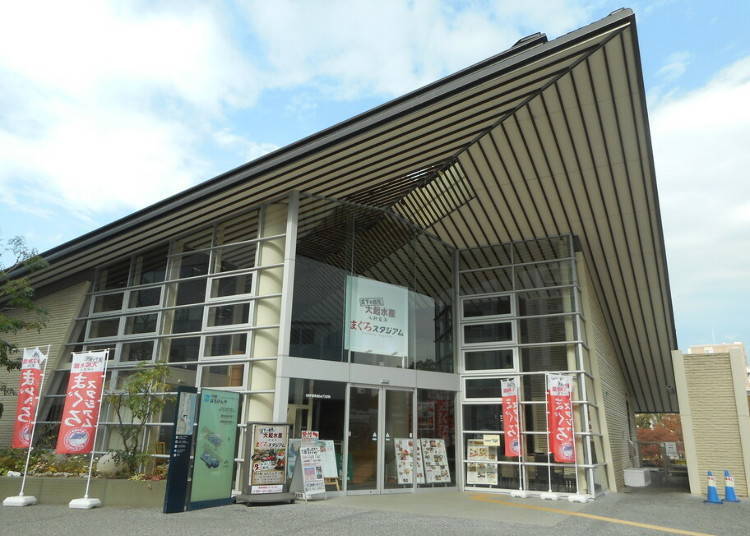 2. Maguro-Stadium: 1,500 yen for a fresh catch of tuna sushi (Tenmabashi)