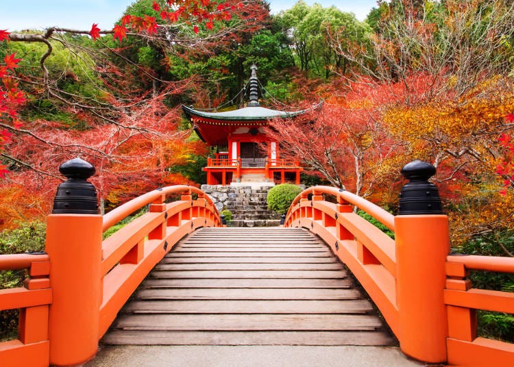 所謂的「京都式風景」只是其中生活的一角