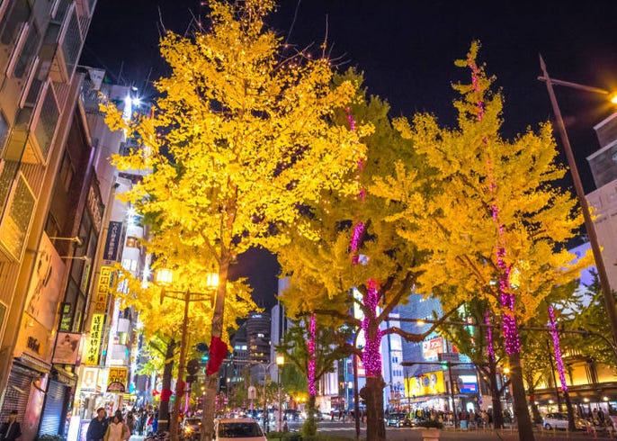 大阪秋天賞楓去 9月 10月 11月天氣資訊 服裝建議 旅行前必知 Live Japan 日本旅遊 文化體驗導覽