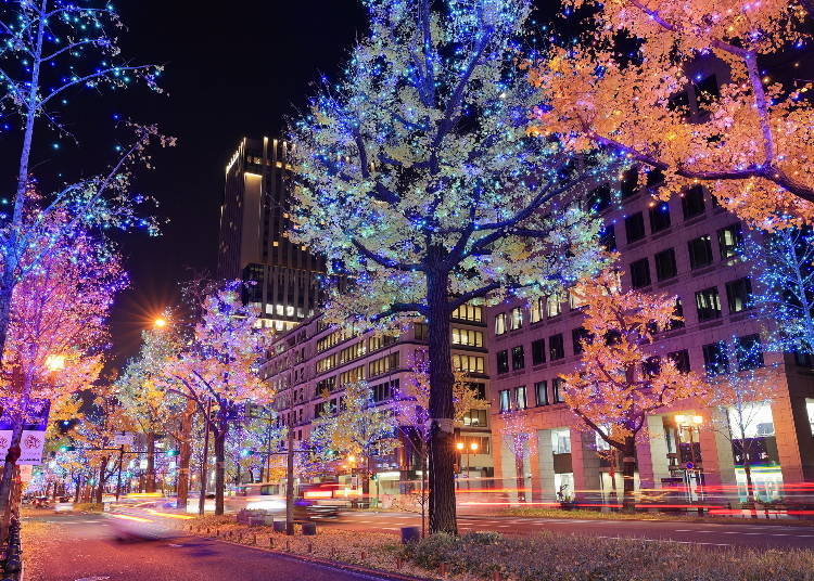 Winter Illuminations on Osaka's Midosuji Avenue (Photo: PIXTA)