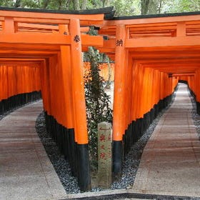 Kyoto Day Tour