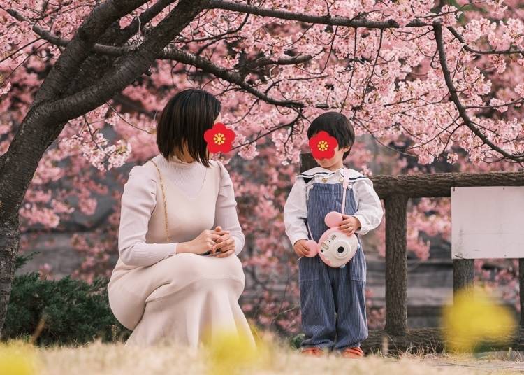 Photo by author (Nemi.Lin)