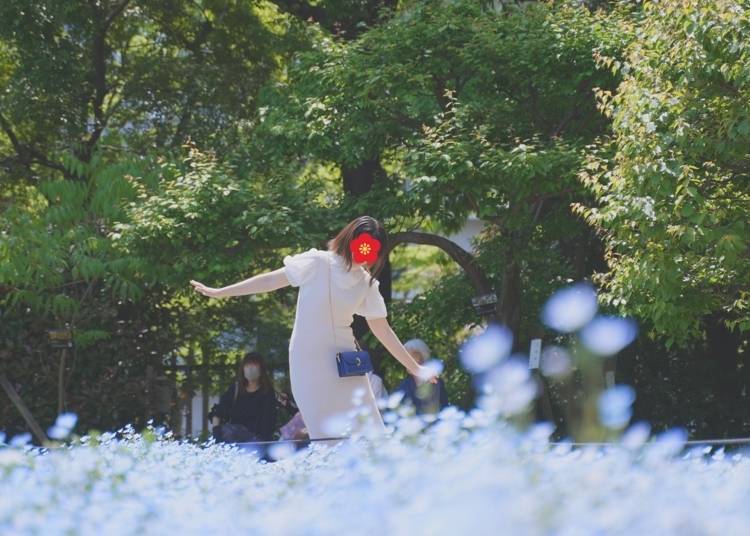 Photo by author (Nemi.Lin)