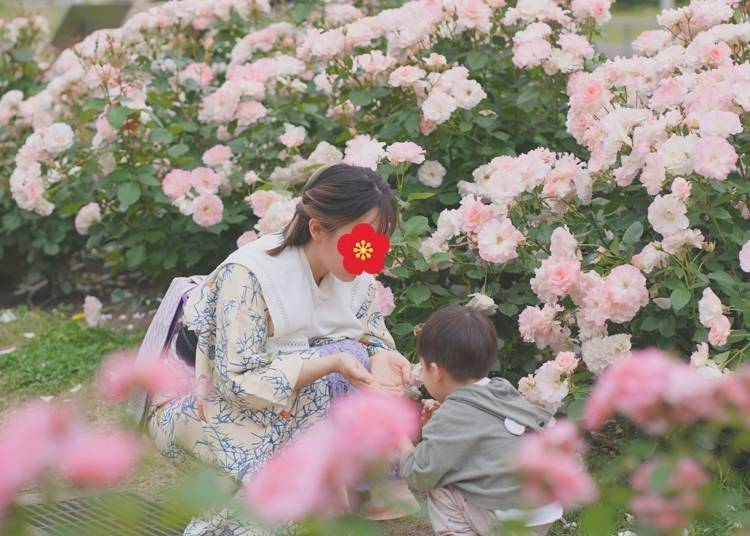 Photo by author (Nemi.Lin)