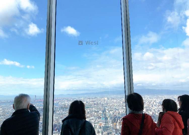 Abeno Harukas: MUJI Café and Crazy Osaka Views?! Best Things to do at Japan’s Tallest Building