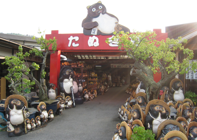 The Symbolic Tanuki Village Otorii Gate