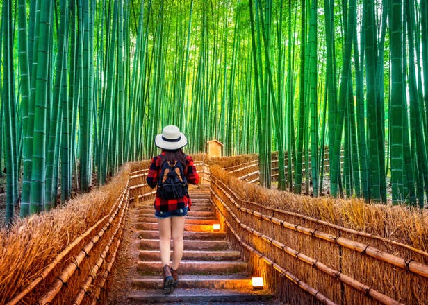 京都旅游前必看！夏天6月、7月、8月的天气资讯、服装穿搭建议