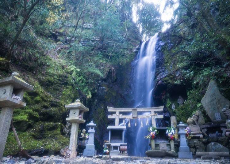 (Image: LIVE JAPAN Article #a2000836)