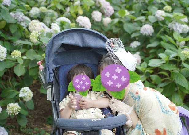 京都夏季旅遊看這篇！6月、7月、8月夏季天氣資訊+在日小編服裝穿搭建議