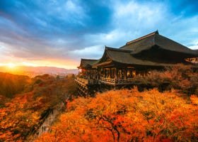 京都秋天赏枫必看！9月、10月、11月的天气资讯、服装建议