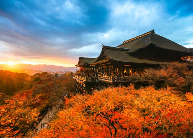 京都秋天赏枫必看！9月、10月、11月的天气资讯、服装建议