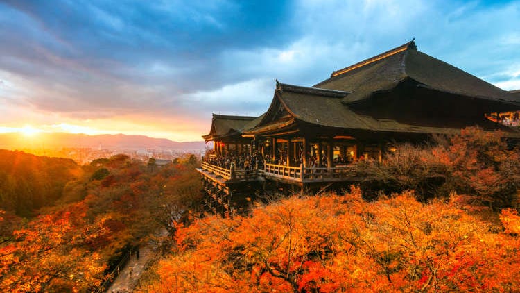 京都賞楓必看！秋天9月、10月、11月的天氣資訊、服裝建議