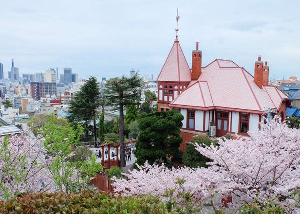 Visiting Kobe in Spring: Ultimate Guide to Kobe Weather in Spring and Clothes You Need
