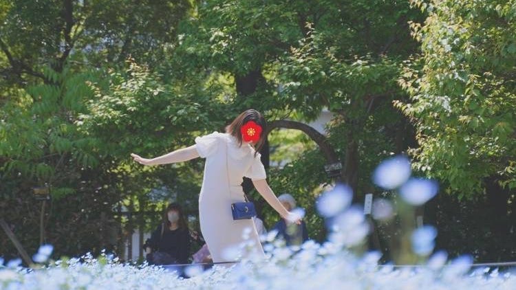 Kobe in Spring: What to Expect in March, April, and May + What to Wear