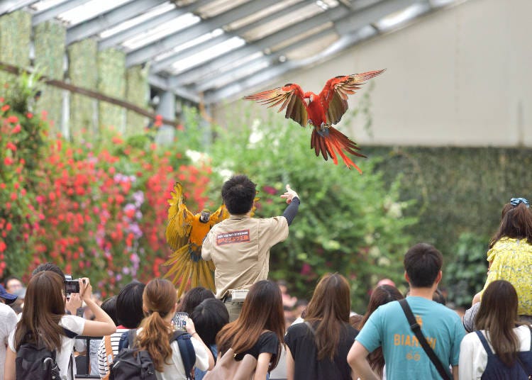 (Photo: LIVE JAPAN Article #a2000975)