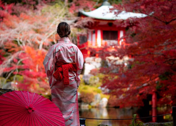Kyoto in One Day: Here's How to See All The Best Attractions of Kyoto