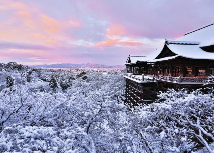 京都の観光名所を たった1日で効率的 にめぐるコツ Live Japan 日本の旅行 観光 体験ガイド