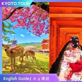 日本京都奈良一日遊・清水寺・花見小路・伏見稻荷大社・奈良公園 ｜保證出發