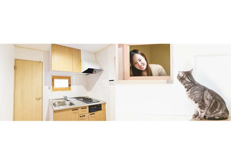 New cat-friendly homes in Japan come specially designed for felines