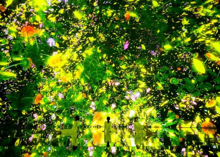 teamLab, Floating in the Falling Universe of Flowers , 2016-2018, Interactive Digital Installation, Endless, Sound: Hideaki Takahashi © teamLab teamLab is represented by Pace Gallery