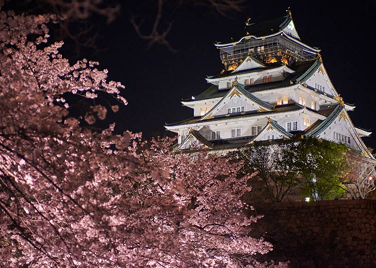 ▲ The competition between Osaka Castle and the cherry blossoms at night is both powerful and fantastical (Photo courtesy of Osaka Castle Park Center)