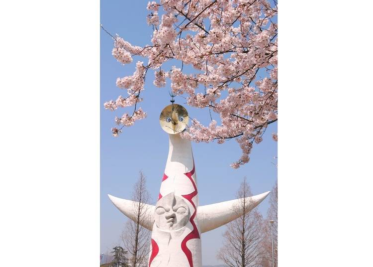 ▲ The Tower of the Sun, which was opened to the public on March 19, 2018 (admission: 700 yen for adults, 300 yen for elementary and junior high school students, tax included) is another sight to enjoy when cherry blossom viewing. (Photo courtesy of Japan Expo '70 Commemorative Park Office, Osaka Prefecture)
