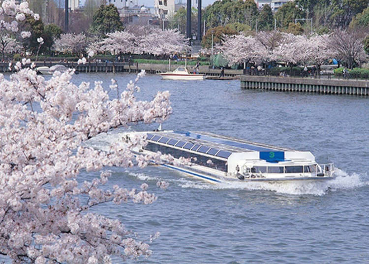 ▲ The water bus “Aqua Liner” on the Okawa. Viewing the cherry blossoms from the boat is also recommended Ⓒ Osaka Tourism Bureau