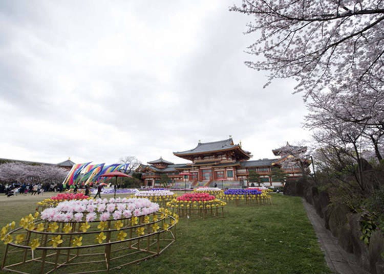 ▲ In April, the temple holds a flower festival to celebrate the birthday of Buddha, commemorated with flower displays and tea ceremonies. (Photo courtesy of Nenpo Shinkyo Kongoji)