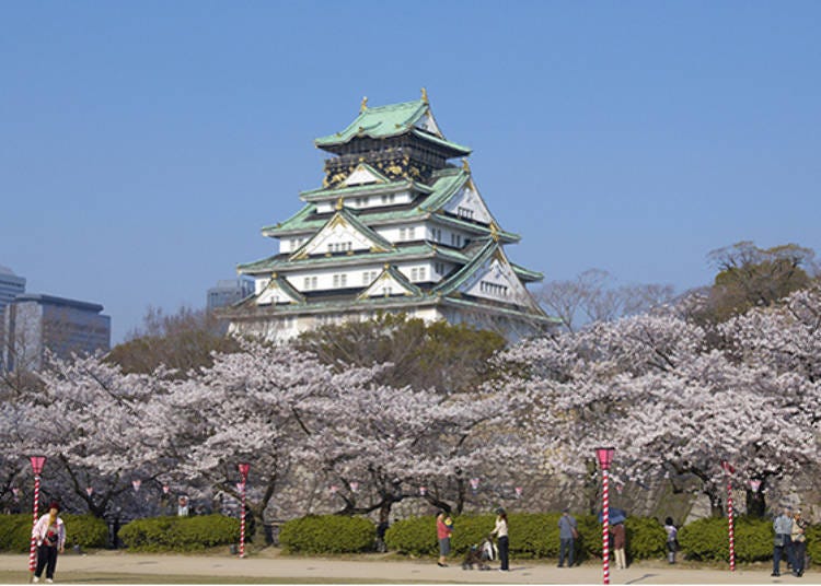 ▲벚꽃이 만개한 오사카 성 주변에서 저마다의 시간을 보내는 이들