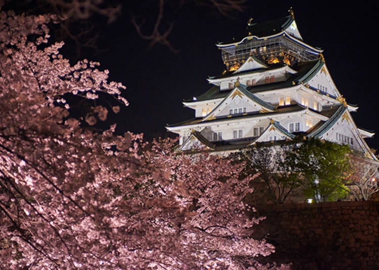 ▲밤에 바라본 오사카 성과 벚꽃. 비현실적인 아름다움 속에서도 힘이 느껴진다 (사진 제공: 오사카 성 공원센터)