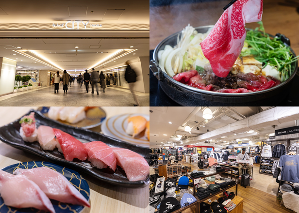 Namba CITY Mall Osaka: Top 7 Shops and Services for Tourists