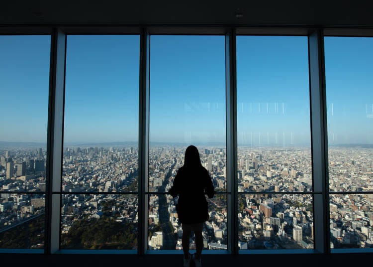 4. Enjoy Soft Serve Ice Cream at Japan's Tallest Building