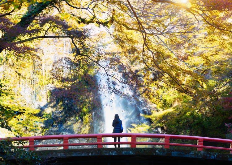 5. Cool Off at the Illuminated Minoh Falls