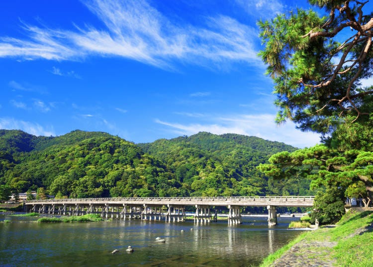 2. Ride A Horse-drawn Carriage Along the Hozu River