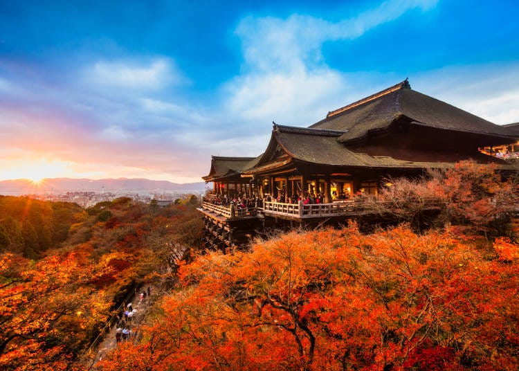 What's the Difference Between Kyoto Shrines and Temples? Both Are Mysterious