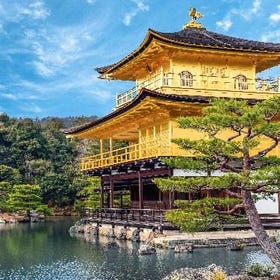 京都寺廟 & 神社一日遊（大阪出發）
▶點擊預約
圖片提供：Klook