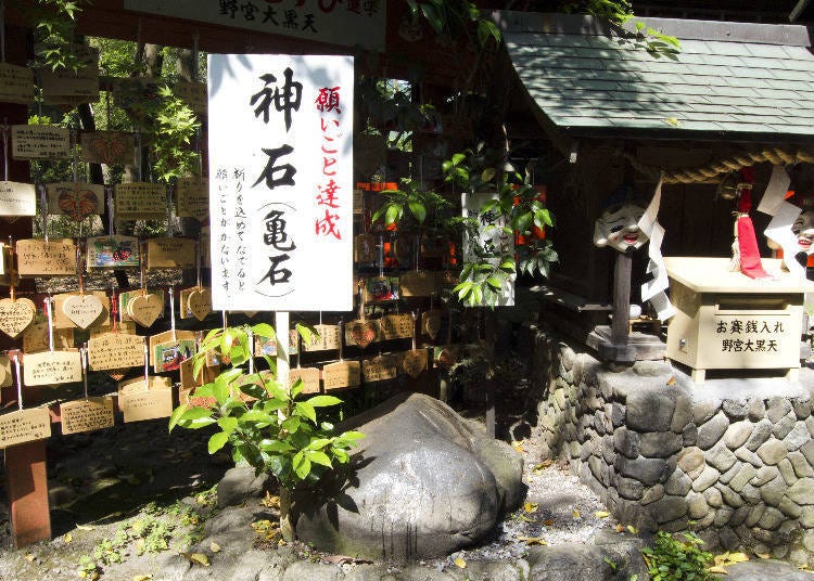 arashiyama bamboo bike tour