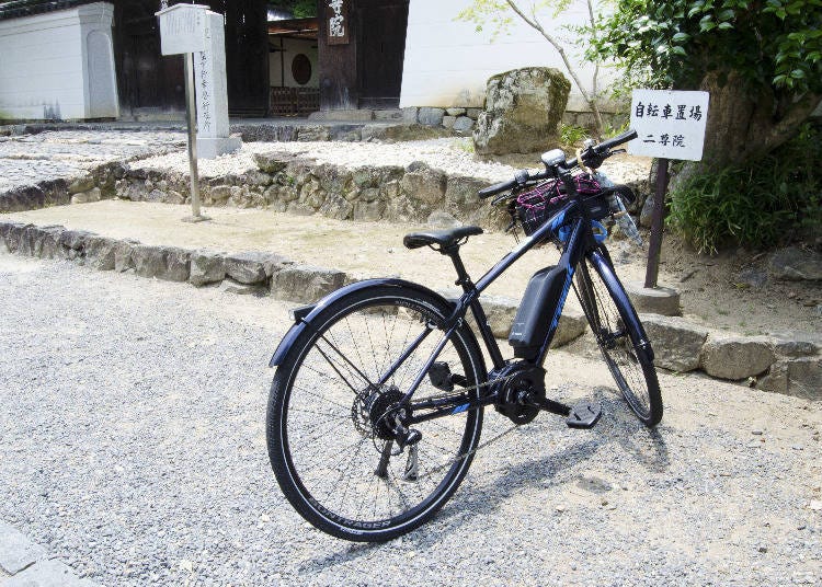 arashiyama bamboo bike tour