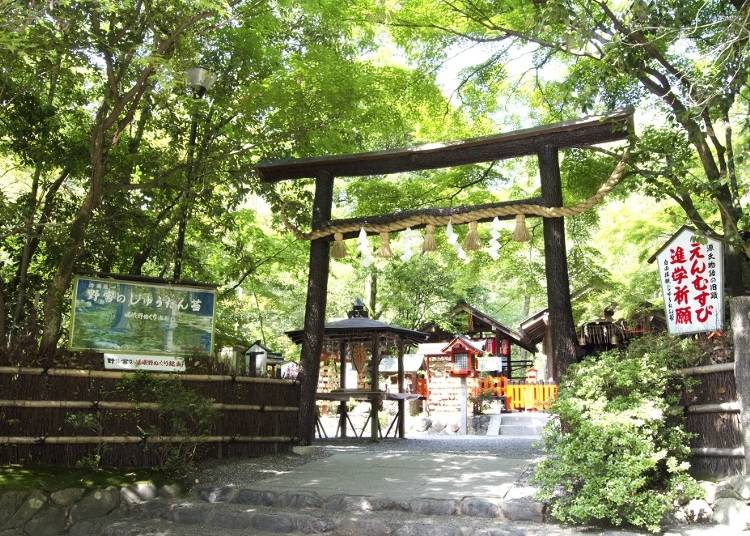 嵯峨の竹林に囲まれた縁結びの神様「野宮神社」