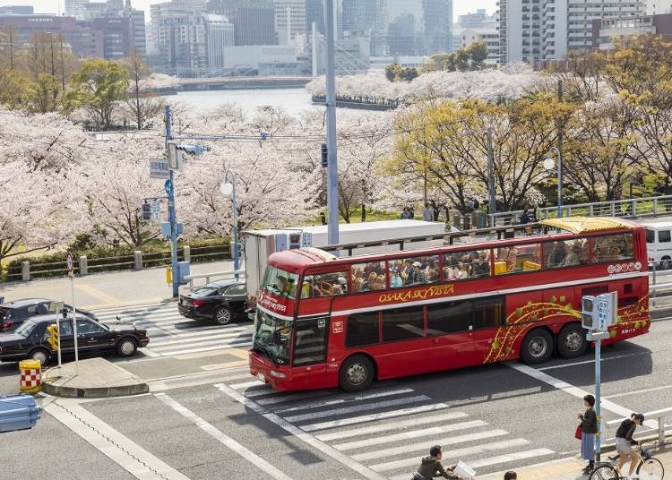 チケットは当日購入もOK。気軽に乗車できるのが魅力的！