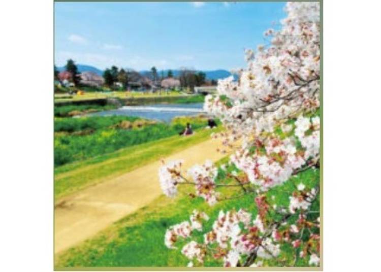 2. Kitaoji: Walk Along the Nature-Rich River Path, Kamogawa Nakaragi Path