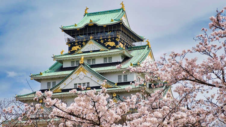 오사카의 벚꽃명소 총정리 10선! 오사카 성 공원과 시텐노지 등 국내 유수의 명소가 많아!